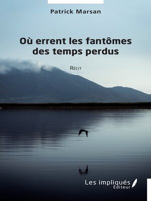 cover image of Où errent les fantômes des temps perdus